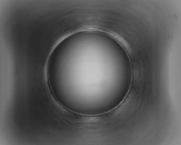 X0000101661382200807171305