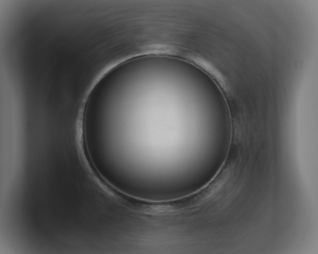 X0000101661383200807171305