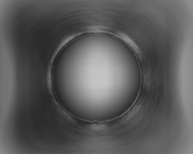 X0000101661384200807171305