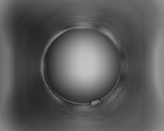 X0000101661387200807171305