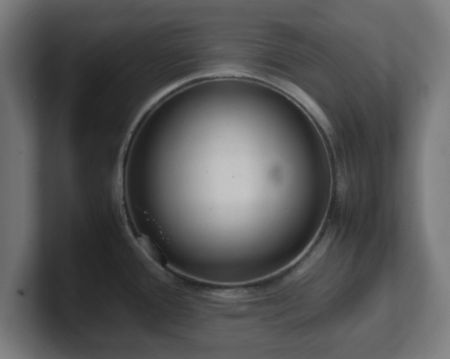 X0000101661388200807171305