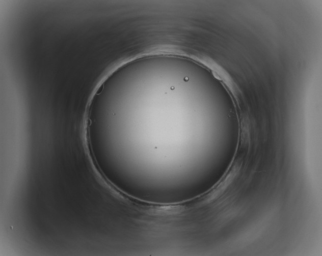 X0000101661390200807171305