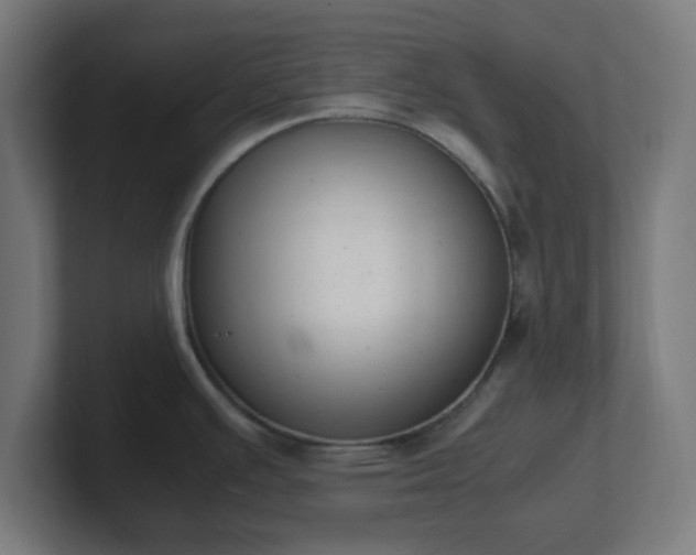 X0000101661391200807171305