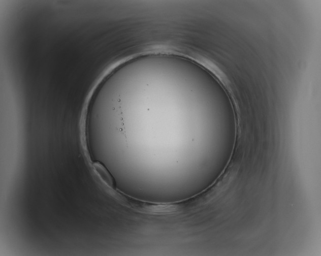 X0000101661392200807171305