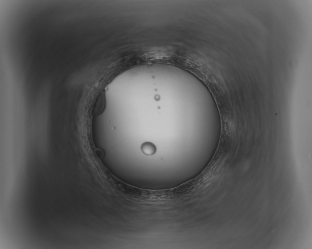 X0000101661393200807171304