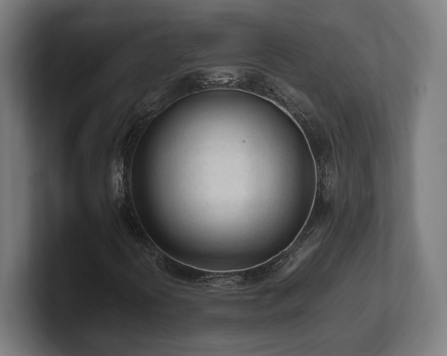 X0000101661394200807171304