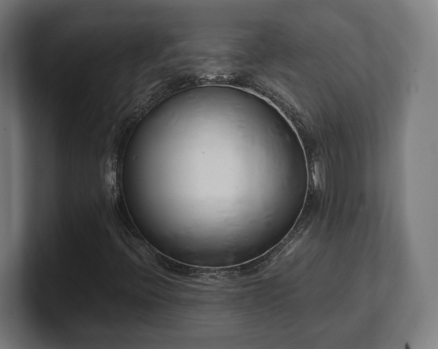 X0000101661396200807171304