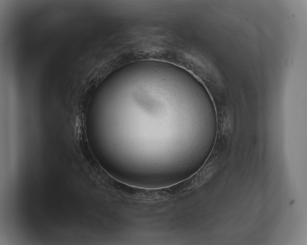 X0000101661397200807171304