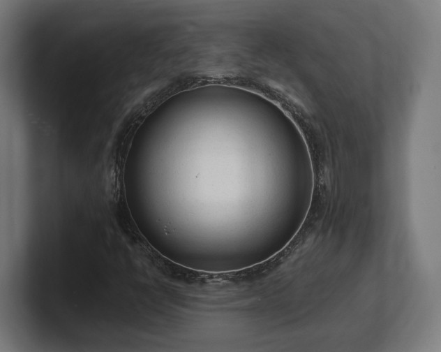 X0000101661398200807171304