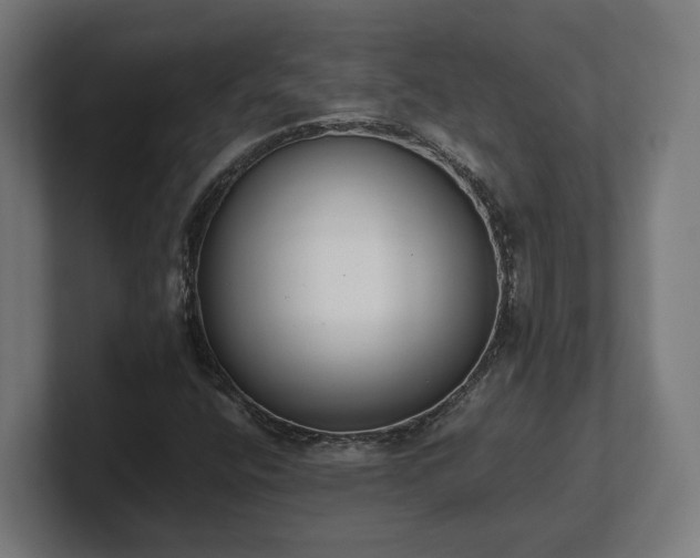 X0000101661400200807171304