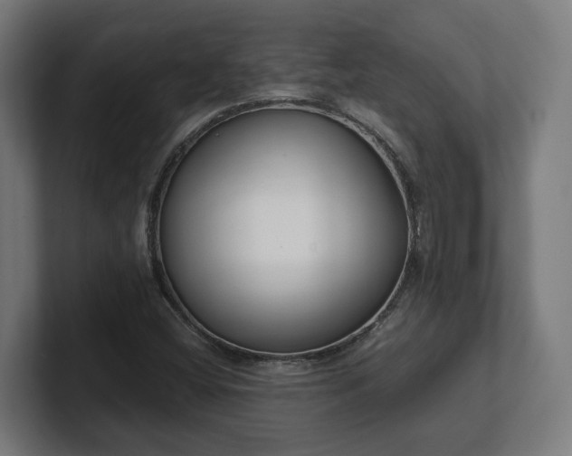 X0000101661404200807171304