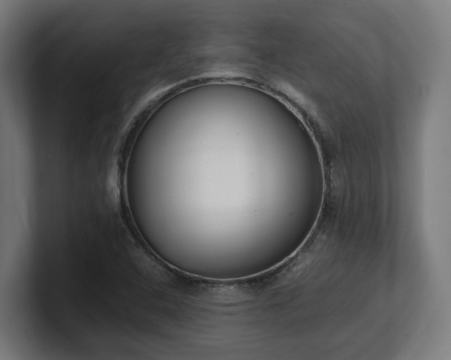 X0000101661408200807171304