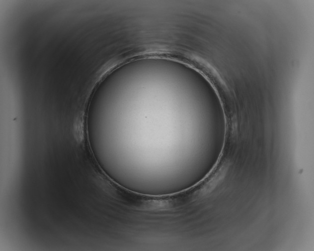 X0000101661409200807171304