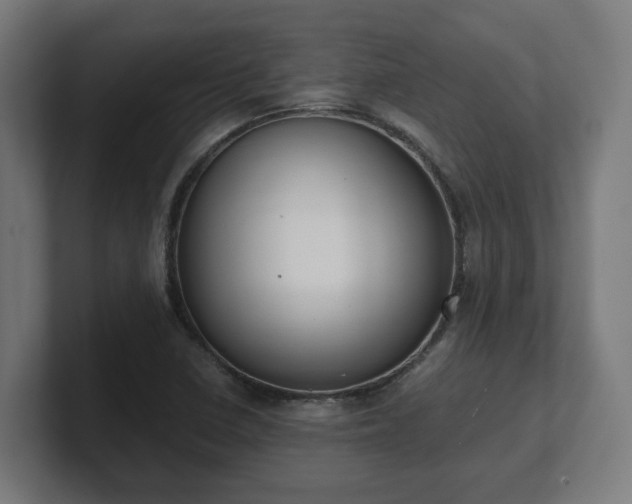 X0000101661410200807171304