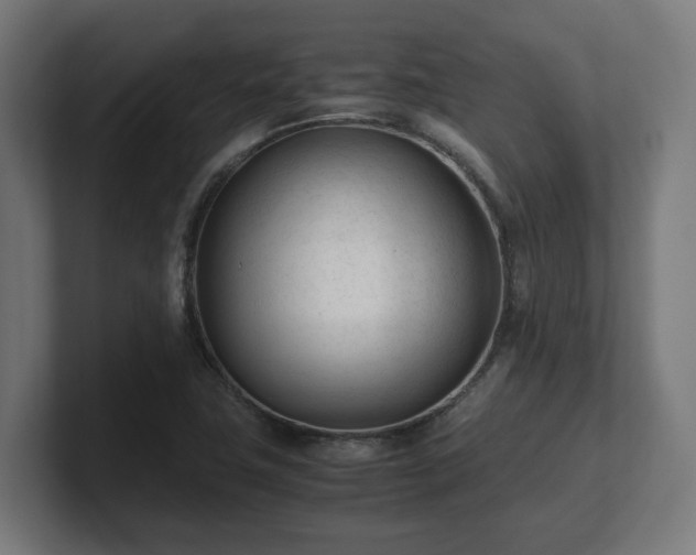 X0000101661411200807171304