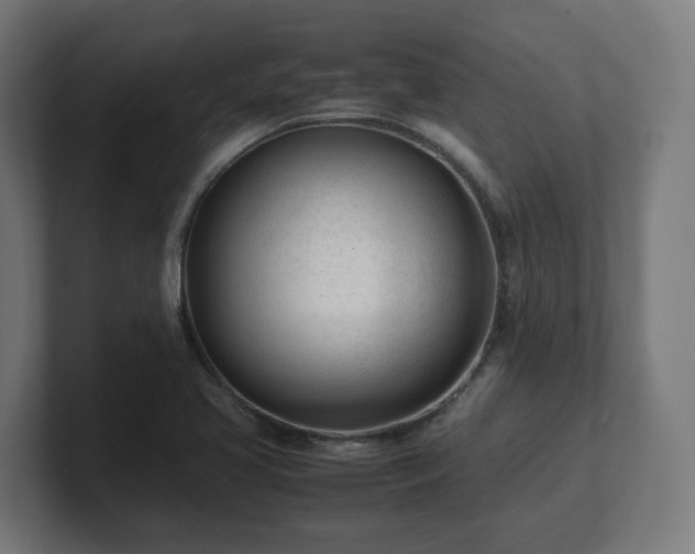 X0000101661413200807171304