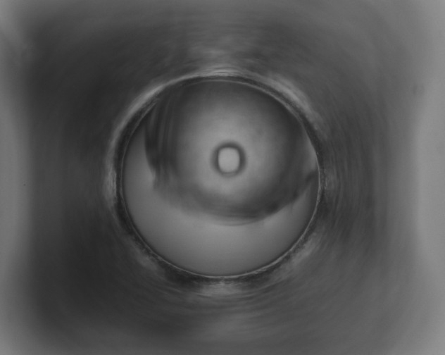 X0000101661414200807171304