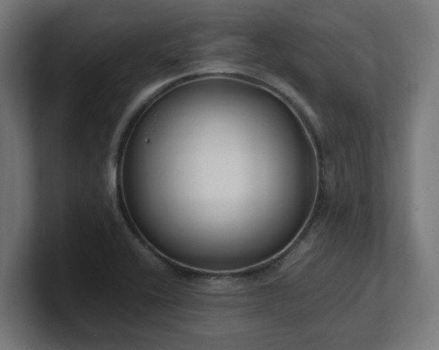 X0000101661416200807171304