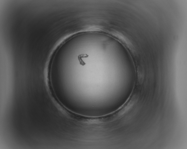 X0000101661422200807171304