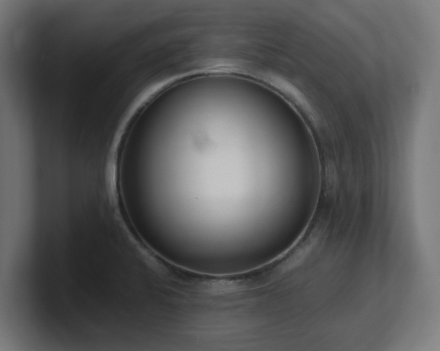 X0000101661424200807171304