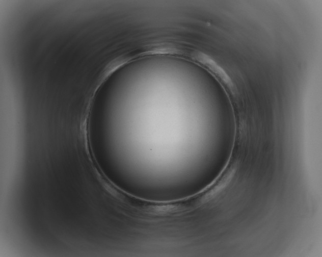 X0000101661425200807171304