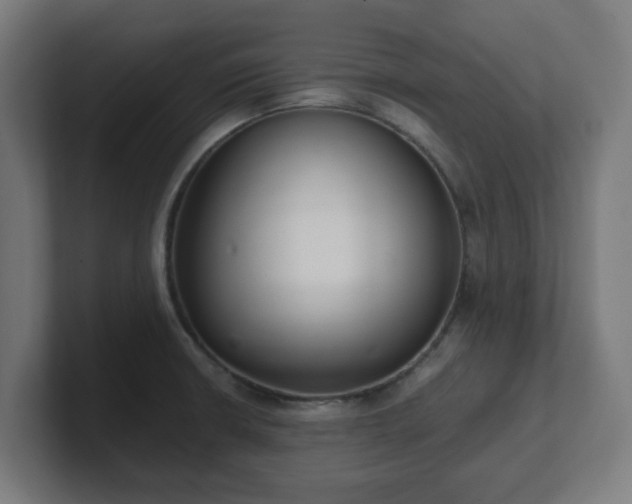 X0000101661426200807171304