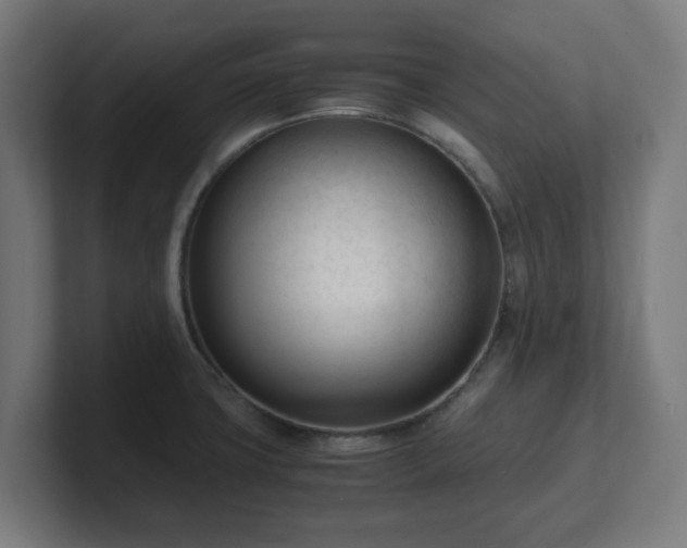 X0000101661427200807171304