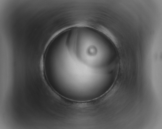 X0000101661428200807171304