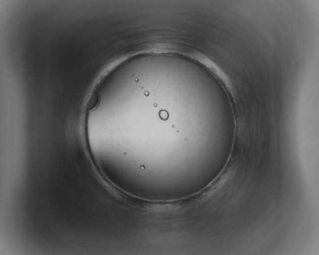 X0000101661429200807171304