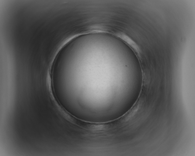 X0000101661431200807171304