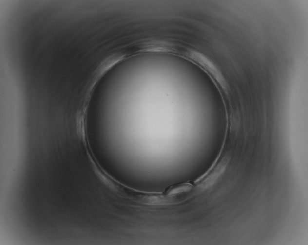 X0000101661433200807171304