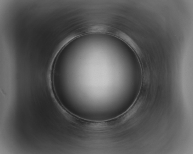 X0000101661434200807171305