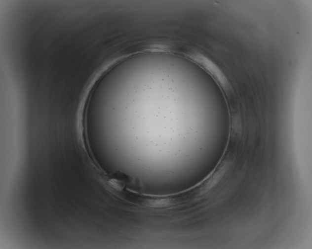 X0000101661435200807171305