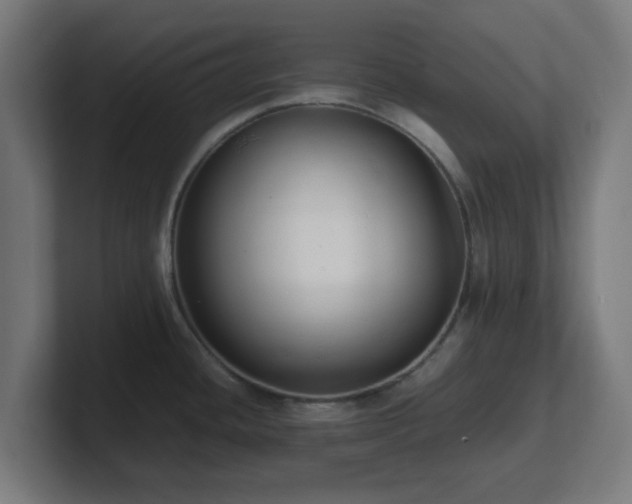 X0000101661436200807171305