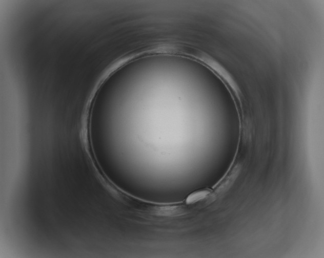 X0000101661437200807171305