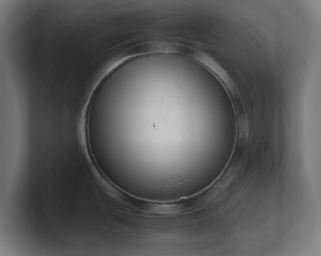 X0000101661439200807171305