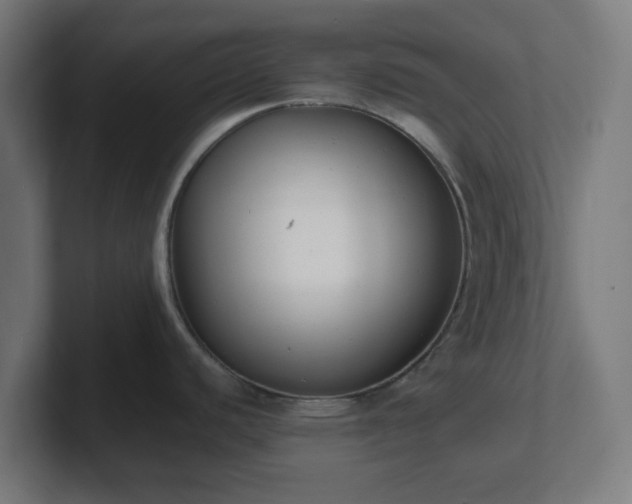 X0000101661440200807171305