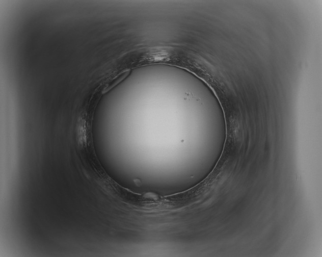 X0000101661442200807171304