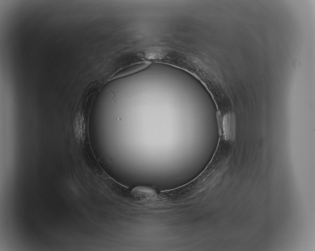 X0000101661443200807171304