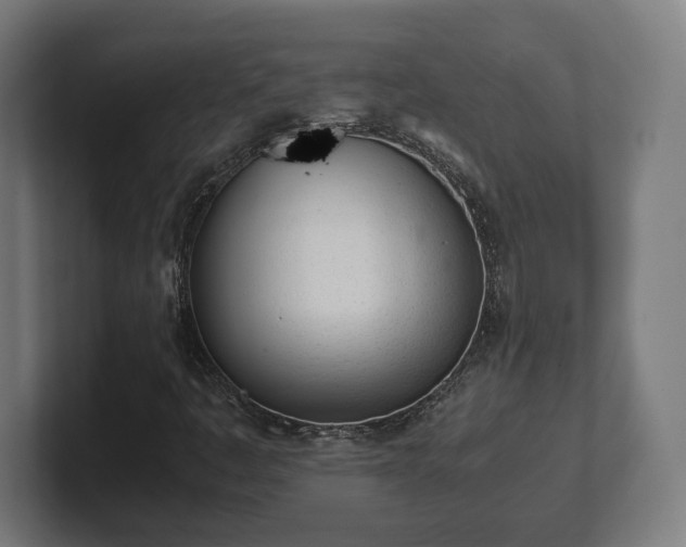 X0000101661445200807171304