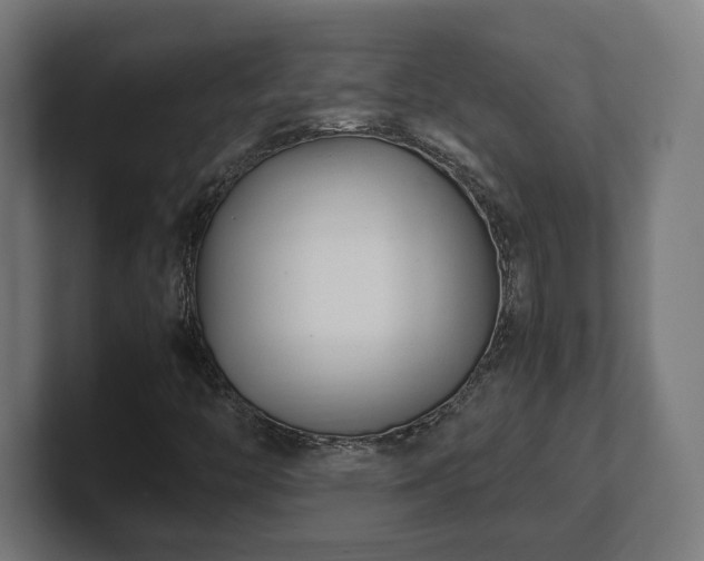 X0000101661446200807171304