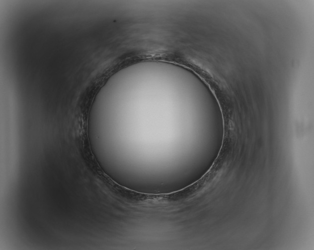 X0000101661447200807171304