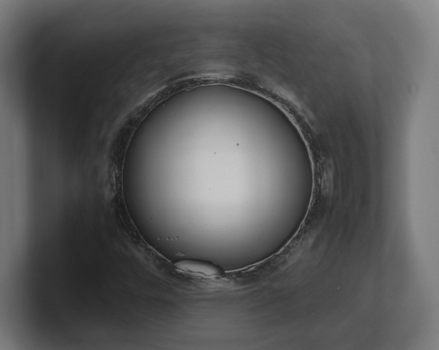 X0000101661448200807171304