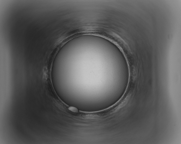 X0000101661449200807171304