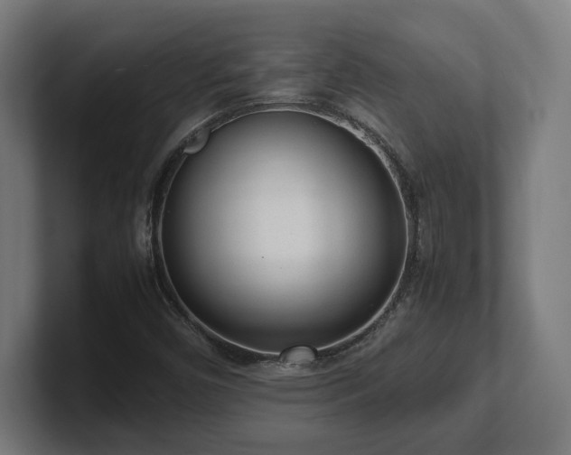 X0000101661450200807171304