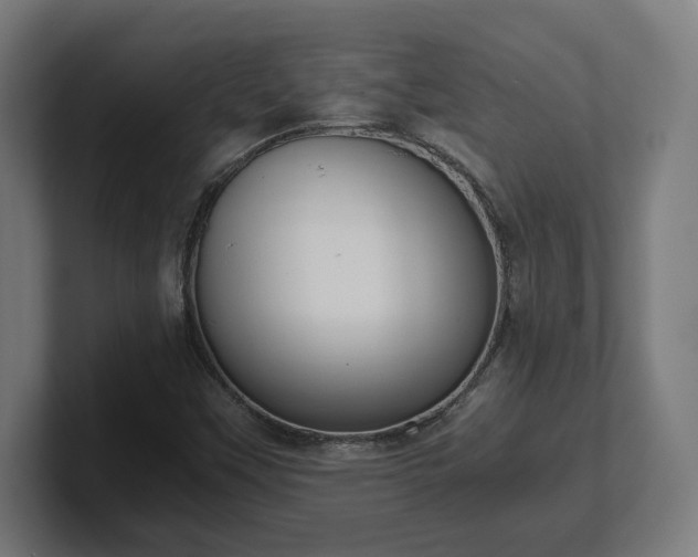 X0000101661451200807171304