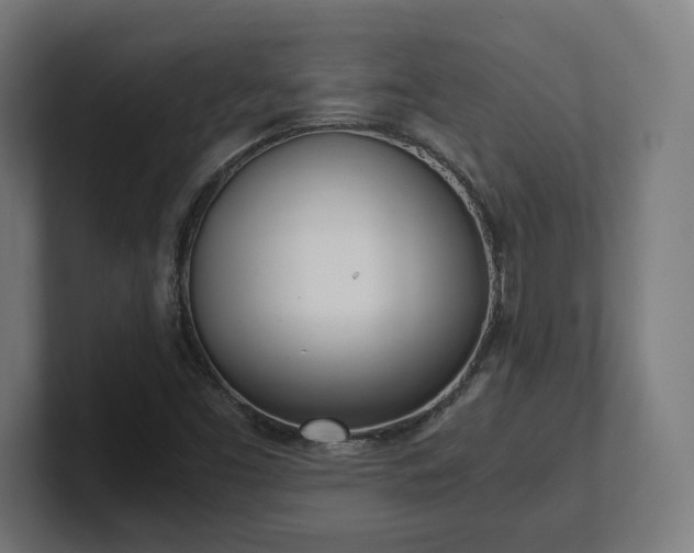 X0000101661453200807171304