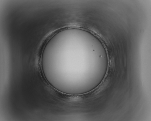 X0000101661454200807171304