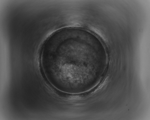 X0000101661455200807171304