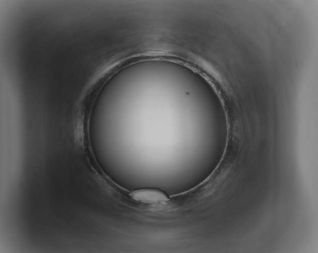 X0000101661456200807171304